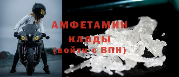 индика Ельня