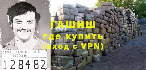 гашик Каменка